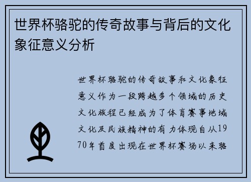 世界杯骆驼的传奇故事与背后的文化象征意义分析